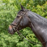 Kieffer Hoofdstel Ultrasoft&reg; Tara 