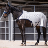 Busse Trainingsmolendeken Fly Comfort