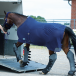 Busse Zweetdeken Summer Fly