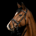 Kieffer Hoofdstel Vera Zwart/Bruin