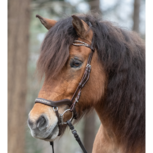 Tolt Saga Hoofdstel Anatomisch Aris Bruin