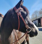 Western Hoofdstel met Reins Copper