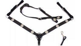 Westernset zwart met koperkleurige klinknagels, zilverkleurige concho&#039;s