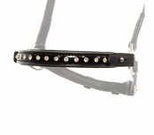 Kjartan Lage Neusriem Glansandi