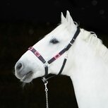 Kieffer Halster Buenos Aires Fuchsia