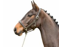 Kieffer Ultrasoft&reg; halster