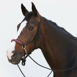 Kieffer Touwhalster Ruby