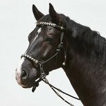 Kieffer Touwhalster Enya