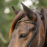 Tolt Saga Mix &#039;n Match Black Gold Kopstuk