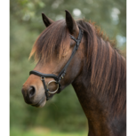 Tolt Saga Mix &#039;n Match Anatomische Neusriem