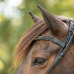 Tolt Saga Mix &#039;n Match Black Diamond Kopstuk