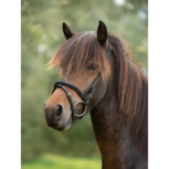 Tolt Saga Mix 'n Match Hoge Neusriem