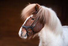 Tolt Saga Hoofdstel Anatomisch Silfra