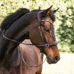 Kavalkade Bitloos Sidepull Hoofdstel &ldquo;Light&rdquo; &ndash; Comfortabel Geolied Leer met Strass