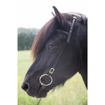 Karlslund Iceland Kopstuk met Frontriem &ndash; eenvoudig, degelijk en perfect passend