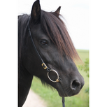 Karlslund Iceland Kopstuk 