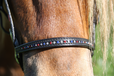 Karlslund Wave Noseband &ndash; Neusriem met IJslandse Kleuren