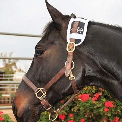 Professional's Choice Magnetische Kopstuk onderlegger