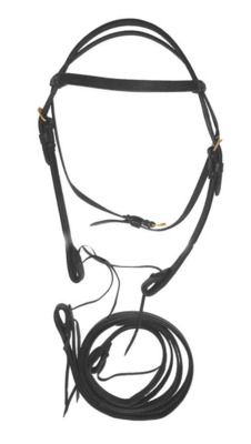 Compleet Western Hoofdstel voor Shetlanders en Pony's 