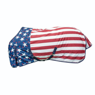 Pro-Tech Outdoor Waterproof USA Flag Rug &ndash; Niagara Model