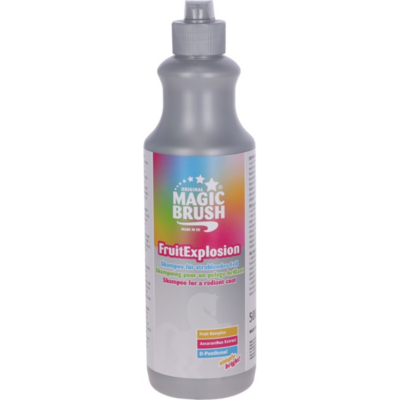 Magic Brush Shampoo Fruit Explosion
