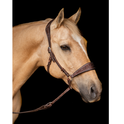 Bitloos Kingekruist Hoofdstel Kifra Ziva