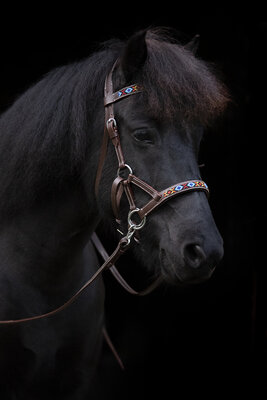 Bitloos Sidepull Hoofdstel Kifra Beaded Arizona