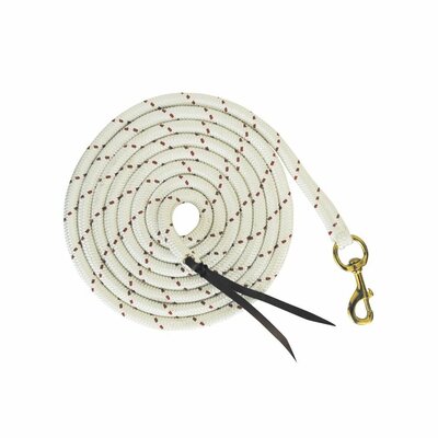 Leadrope van Stevig Materiaal met Musketonhaak 4,25 m