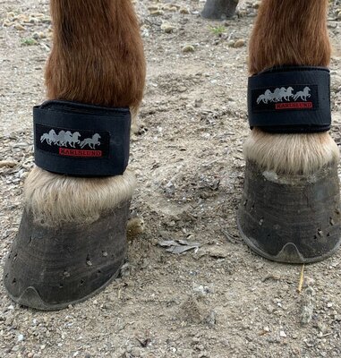Karlslund Kogelbeschermer (Fetlock Protector)