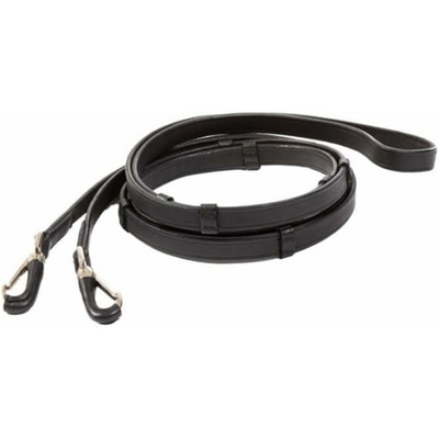 Lederen teugel Island op = op