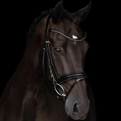 Kieffer Hoofdstel Grace