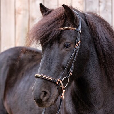 IJslander hoofdstel Freya Black Rose