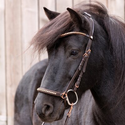 IJslander hoofdstel Freya Brown Rose