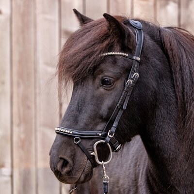 IJslander hoofdstel Jorunn Black Silver