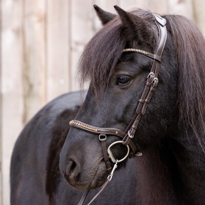 IJslander hoofdstel Jorunn Brown Silver