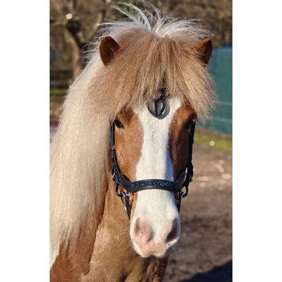 Kifra Icelandic Hoofdstel Deep Blue