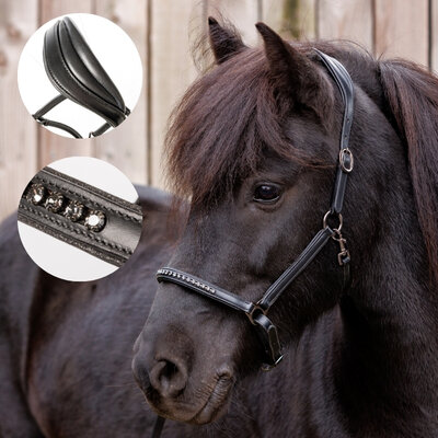 Lederen IJslanderhalster Freydis - Black 