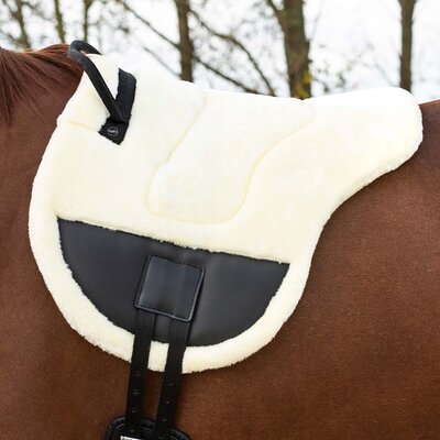 Barebackpad Ontario &ndash; Pony &amp; Full