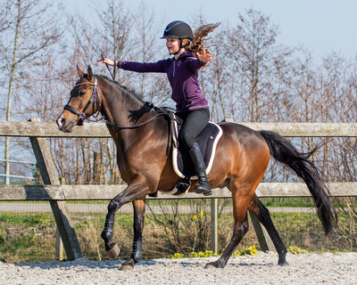 Barebackpad met imitatiebont Zwart - Shet t/m XFull