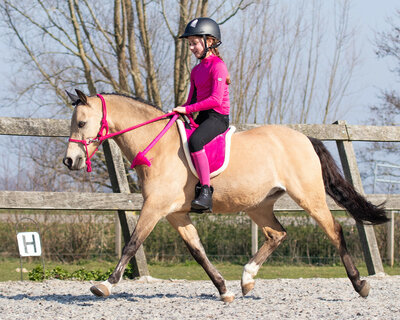 Barebackpad met imitatiebont Fuchsia - Shet t/m Full