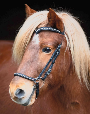 Karlslund Strass Color Neusriem voor Combi Hoofdstel