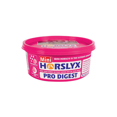 Horslyx Digestion Mini &ndash; 650g Liksteen voor paarden