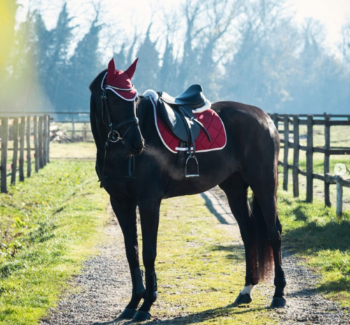 Equestro Dressuur Zadeldek Rood