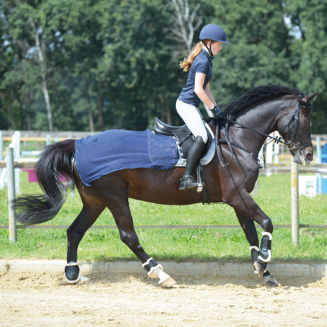 Busse Trainingsdeken Fly