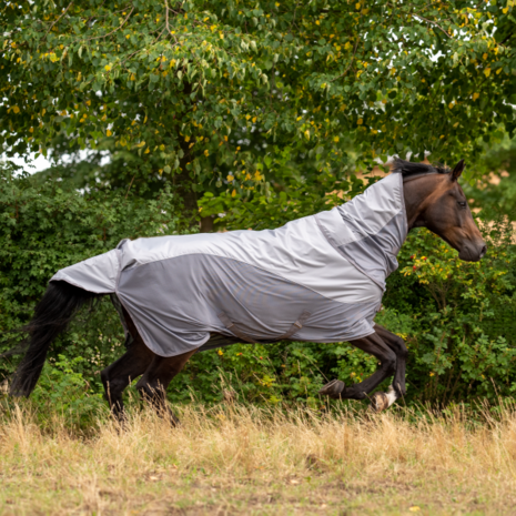 Busse Paddockdeken Rainfly