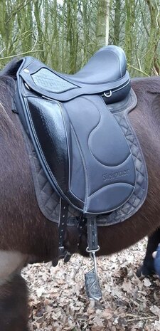 Tolt Saga Sleipnir