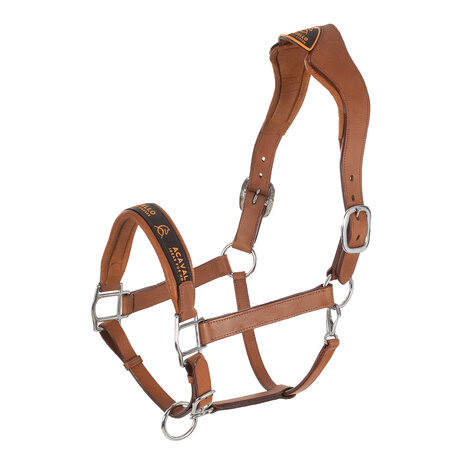 Acavallo Halster Leder Anatomisch Cognac