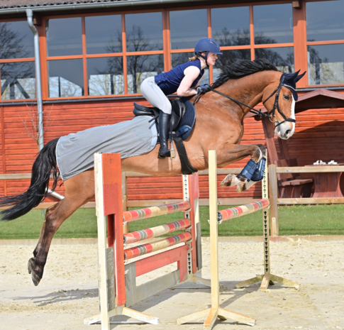 Busse Trainingsdeken Fly