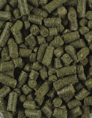 LEXA Bronchi-Vital &ndash; Kruidenmix voor Paarden met Gevoelige Luchtwegen