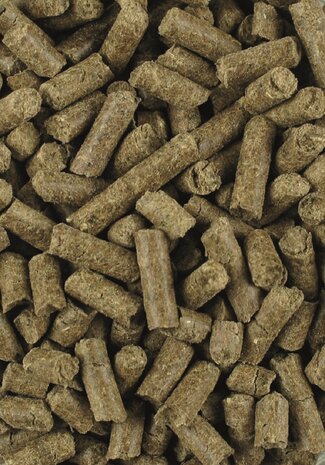 Lexa Duivelsklauw + Gember natuurlijke gewrichtsondersteuning 